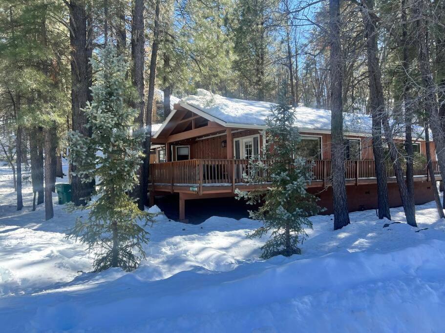 The Bluejay Cabin At Munds Park, Az! เซโดนา ภายนอก รูปภาพ