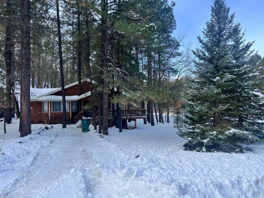 The Bluejay Cabin At Munds Park, Az! เซโดนา ภายนอก รูปภาพ