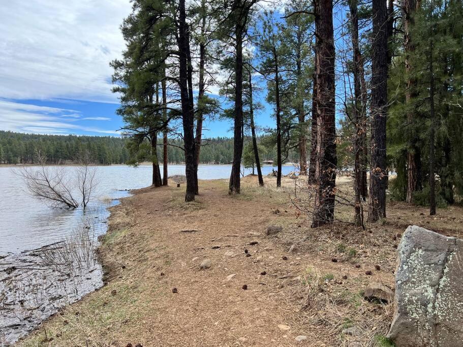 The Bluejay Cabin At Munds Park, Az! เซโดนา ภายนอก รูปภาพ