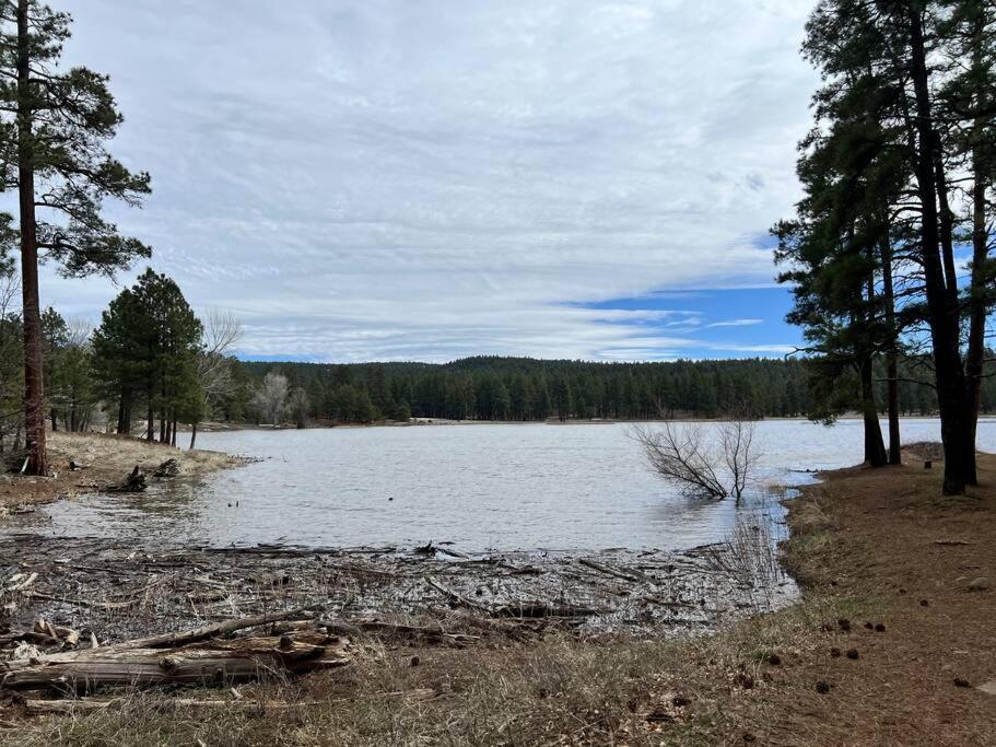 The Bluejay Cabin At Munds Park, Az! เซโดนา ภายนอก รูปภาพ